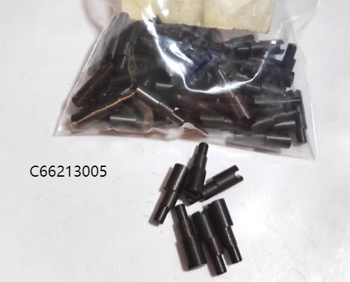 C66213005
