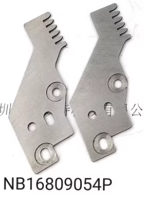 NB16809054P