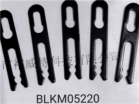 BLKM05220